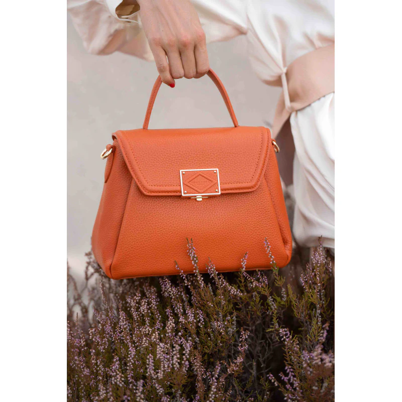 Сумка Pourchet Carat 22012 Orange